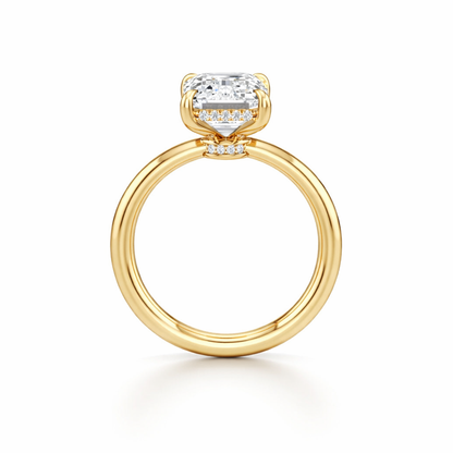 Emerald Cut Engagement Ring
